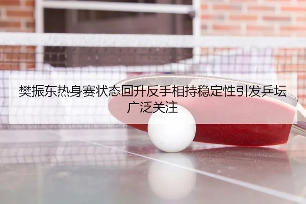 樊振东热身赛状态回升反手相持稳定性引发乒坛广泛关注